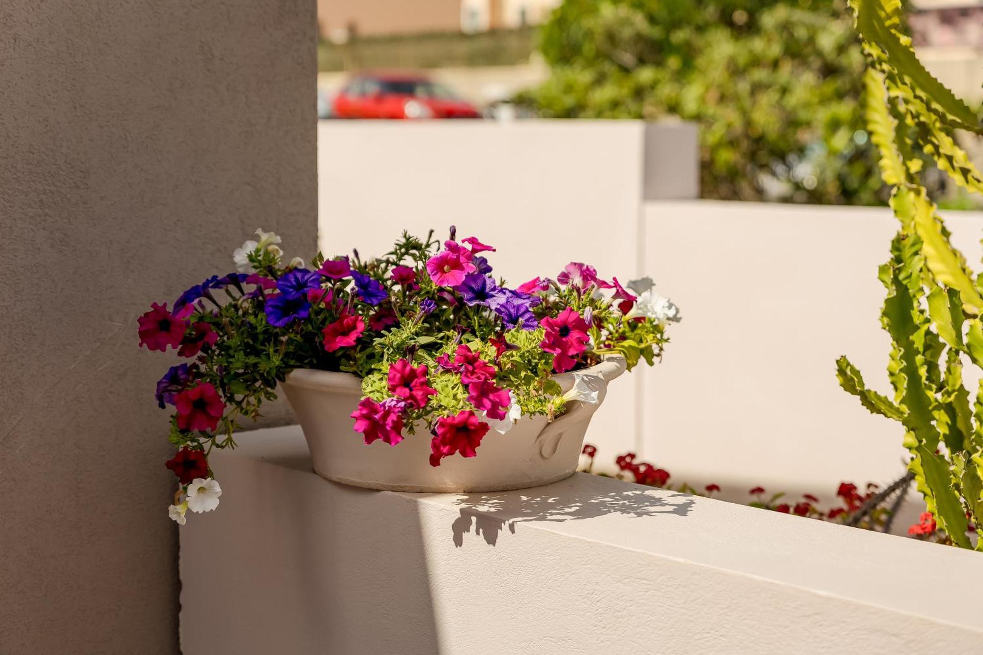 Sarpidon Suites Agia Marina Екстериор снимка